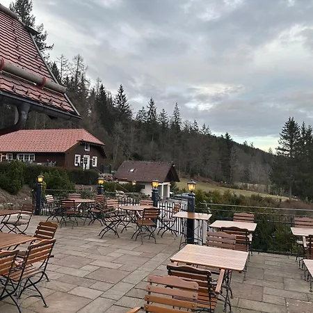 Daire Buhlbach, Black Forest Hideout, Mit Terrasse Baiersbronn