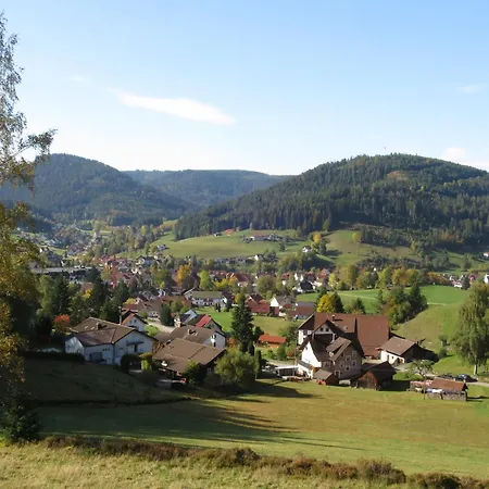 Buhlbach, Black Forest Hideout, Mit Terrasse Apartment Baiersbronn