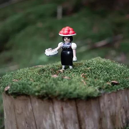 アパート Buhlbach, Black Forest Retreat, Mit Sonnenterrasse