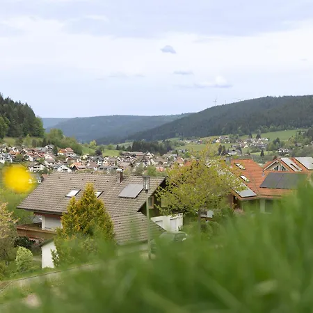 Apartment Buhlbach, Black Forest Hideout, Mit Terrasse *
