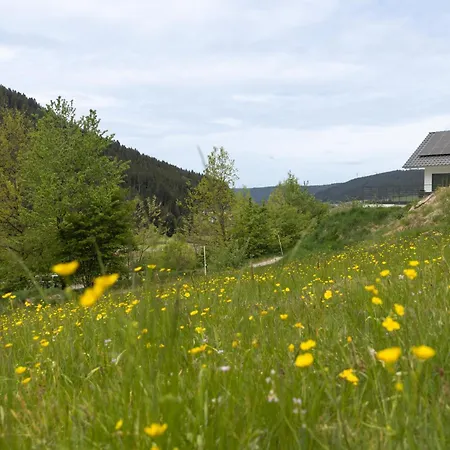Buhlbach, Black Forest Retreat, Mit Sonnenterrasse Appartement Baiersbronn